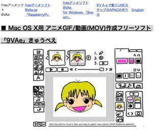 9vaesoftware.jpg
